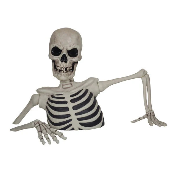 Life-Size Skeleton with LED Eyes &