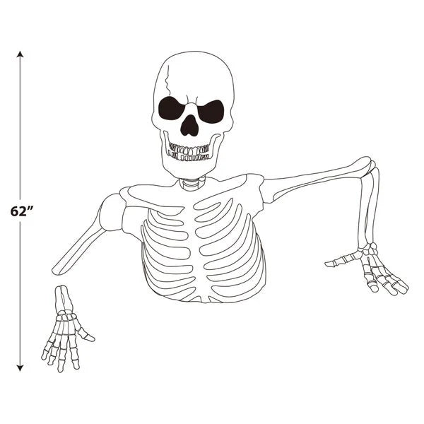 Life-Size Skeleton with LED Eyes &