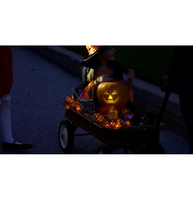 Talking Pumpkin