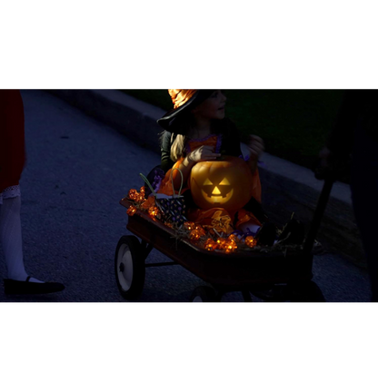 Talking Pumpkin