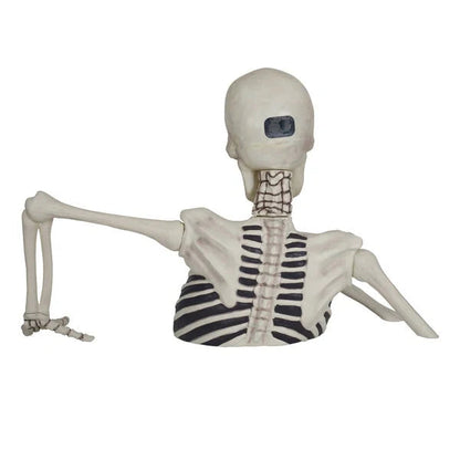 Life-Size Skeleton with LED Eyes &amp